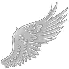 <p>Skrzydła</p>