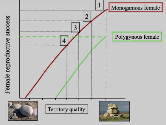 <p>Polygyny Threshold Model</p>
