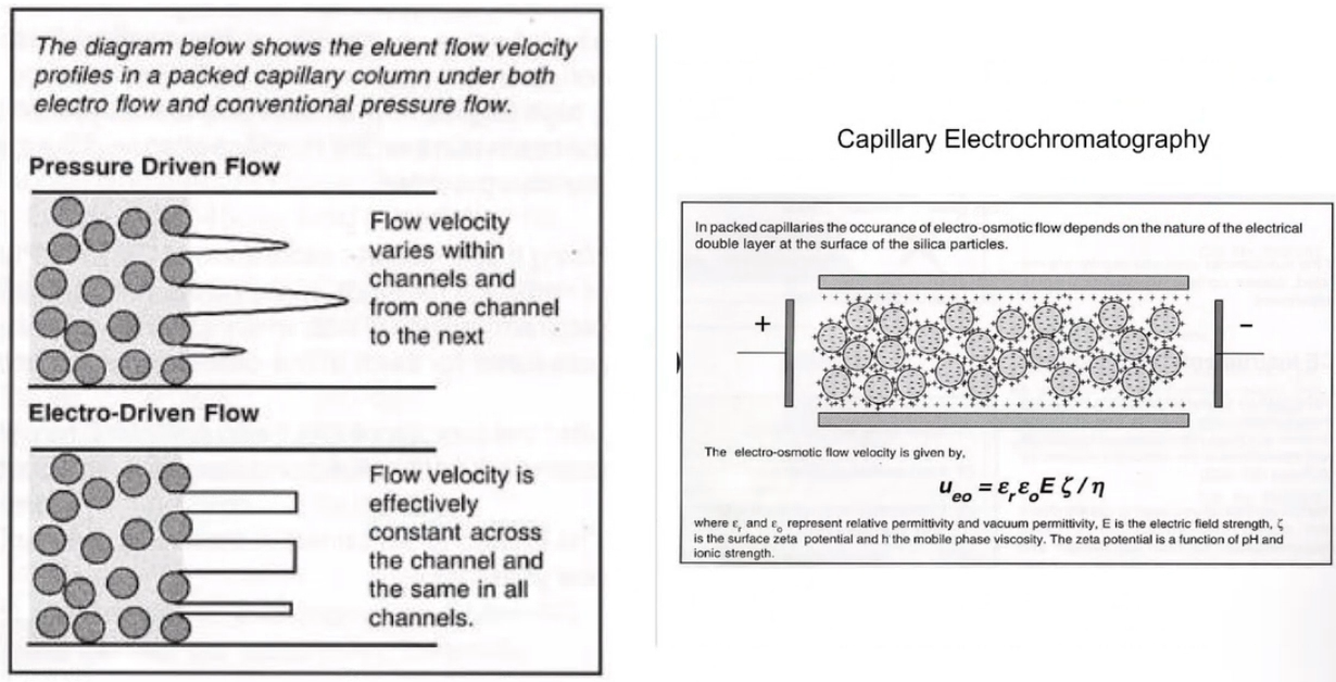 Capillary Electrochromatography