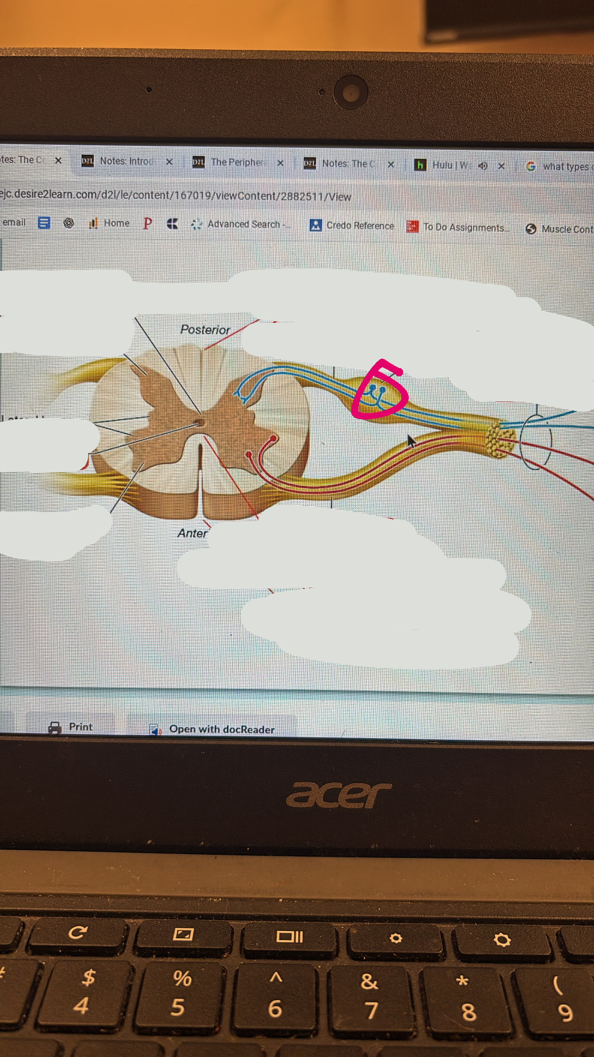 knowt flashcard image