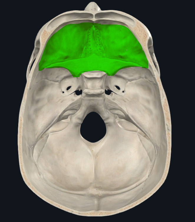 <p>Límite anterior</p><ul><li><p>Línea imaginaria a nivel de la glabela (<span style="font-family: "Times New Roman", serif">ángulo de unión entre la lámina horizontal y vertical del frontal)</span></p></li></ul><p>Límite posterior</p><ul><li><p><span style="font-family: "Times New Roman", serif">&nbsp;límite posterior de la ala menor del esfenoides, y el canal óptico</span></p></li></ul><p></p>