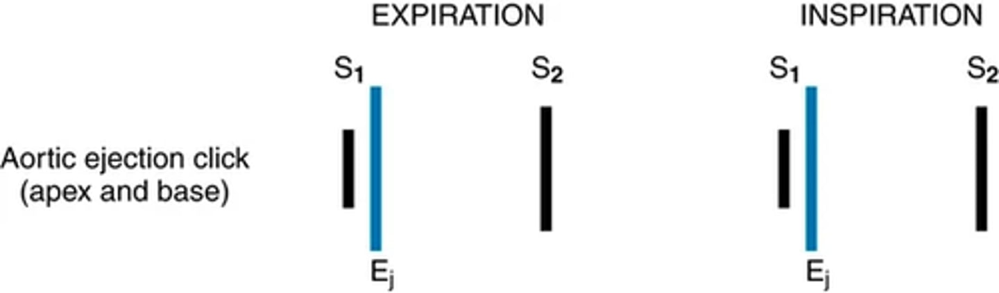 <p>Early systolic: ejection click (Aortic prosthetic valve sounds)</p><p>Mid/late systolic: Mid systolic (mitral click)</p><p>Aortic ejection click (apex and base): expiration and inspiration image</p>