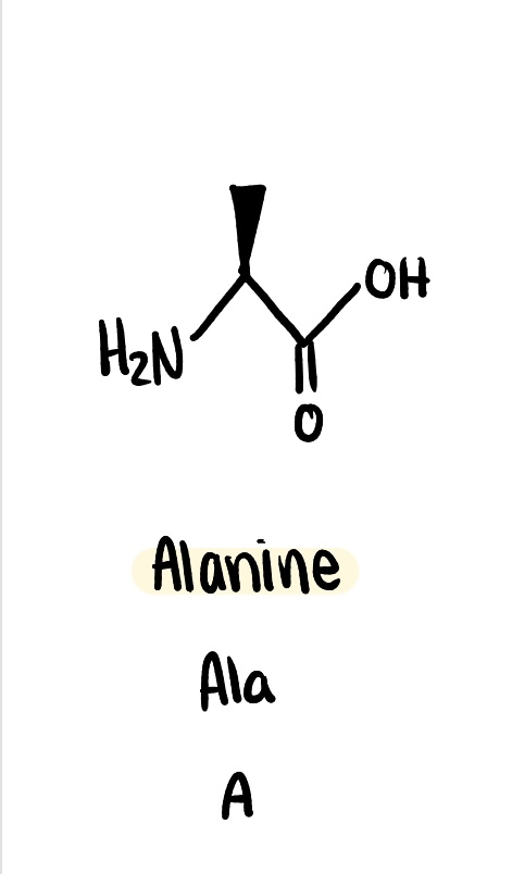 <p>non polar (hydrophobic), Ala, A</p>