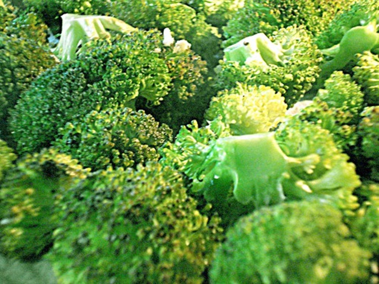 <p>broccoli</p>