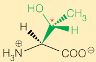 <p>3 Letter</p>