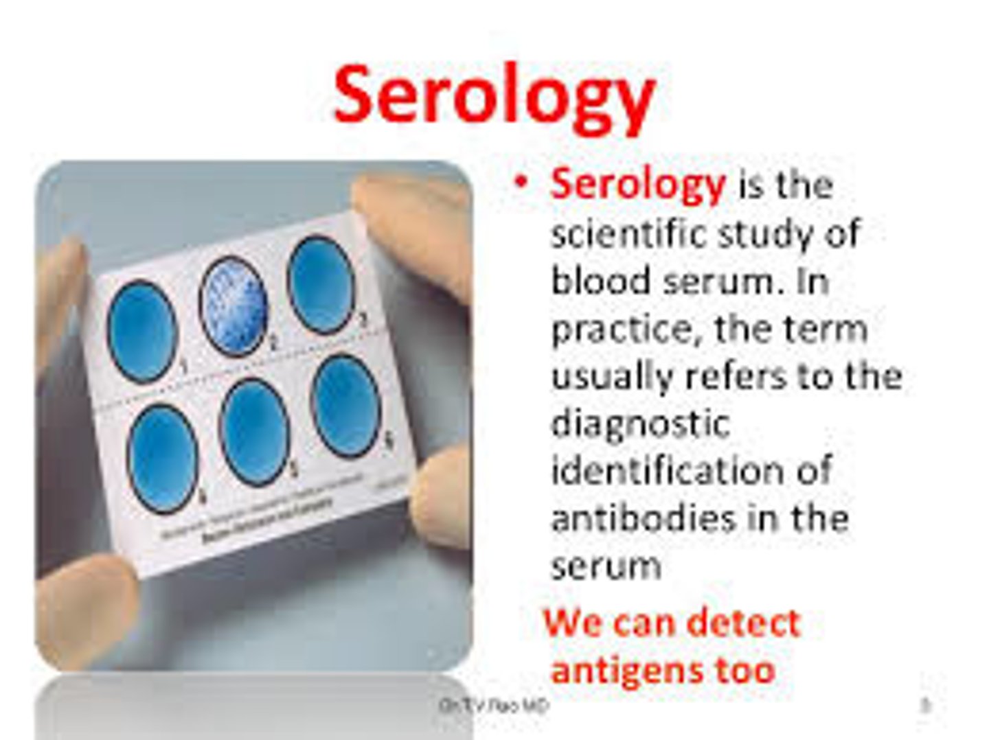 <p>involves in vitro testing of serum, urine, cerebrospinal fluid, whole tissues, and saliva for the presence of specific antibodies</p><p>based on the principle that antibodies have an extreme specificity for antigens</p><p>used to determine the immunologic status of patients, confirm a suspected diagnosis, and screen individuals for disease</p>