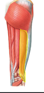 <p>What is this?</p>