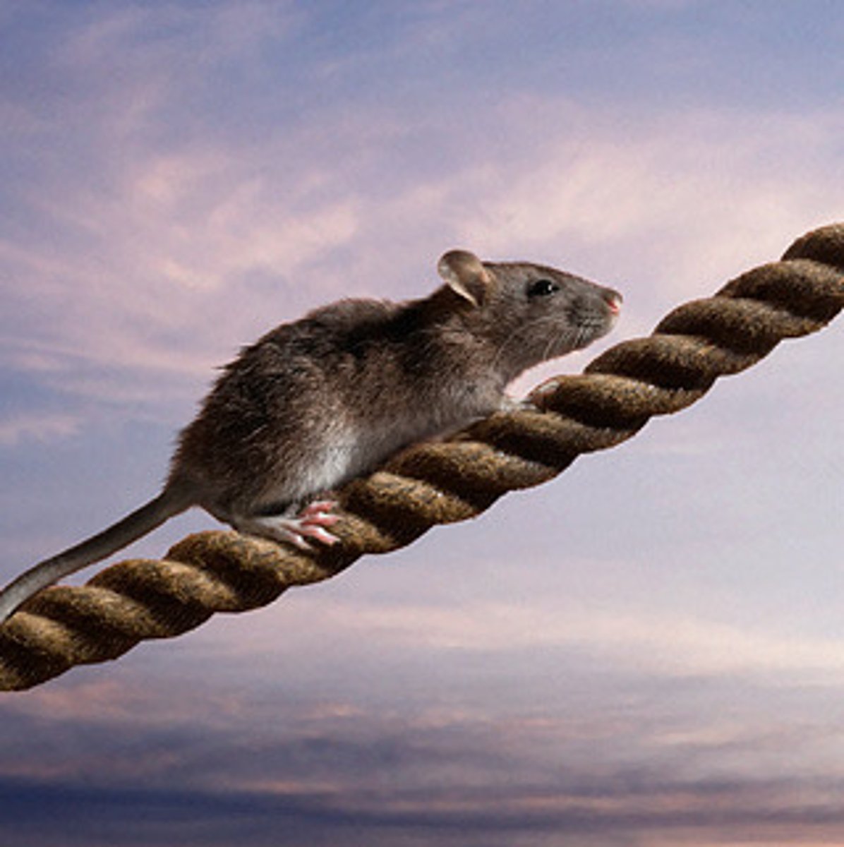 <p>to leave (sb, sth, someplace)</p>