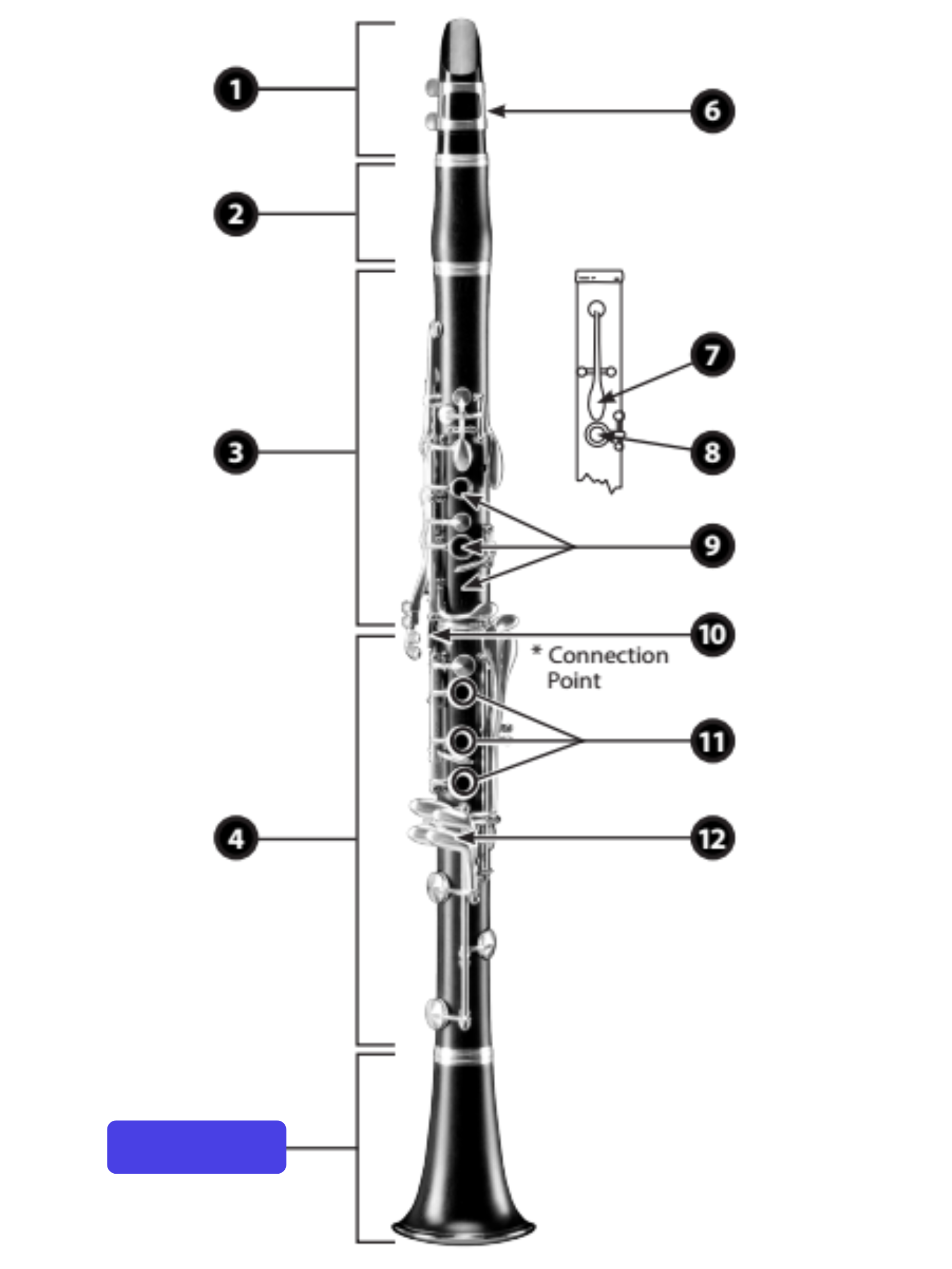 knowt flashcard image