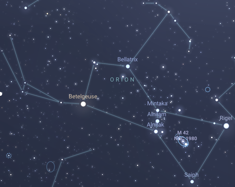 <p>Constellation</p><ul><li><p>Betelgeuse</p></li><li><p>Bellatrix</p></li><li><p>Rigel</p></li><li><p>Saiph</p></li><li><p>Alnitak</p></li><li><p>Alnilam</p></li><li><p>Mintaka</p></li></ul><p></p>