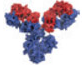<p>Defend against invading molecules and organisms</p>