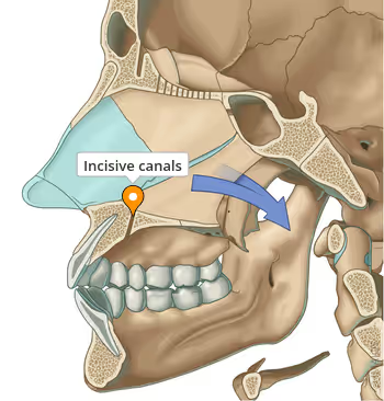 <p>what is this, its description and its appearance on images</p>