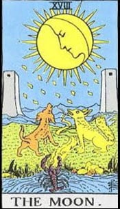 <p>the moon</p>