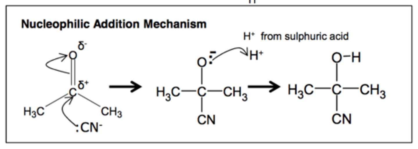 <p>Nucleophilic addition of HCN to an aldehyde or ketone</p>