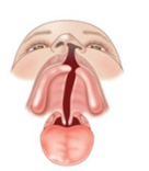 <p>What is this image demonstrating?</p>