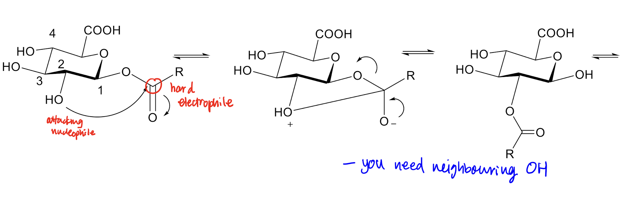 Nucleophilic OH attacks the electrophilic carbonyl C in ester 