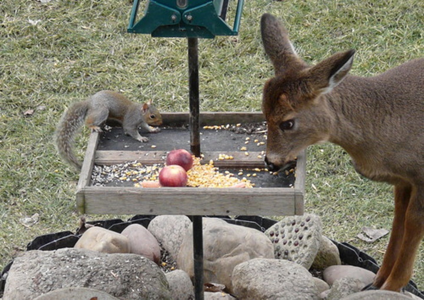 <p>một mình, bởi chính bạn</p>