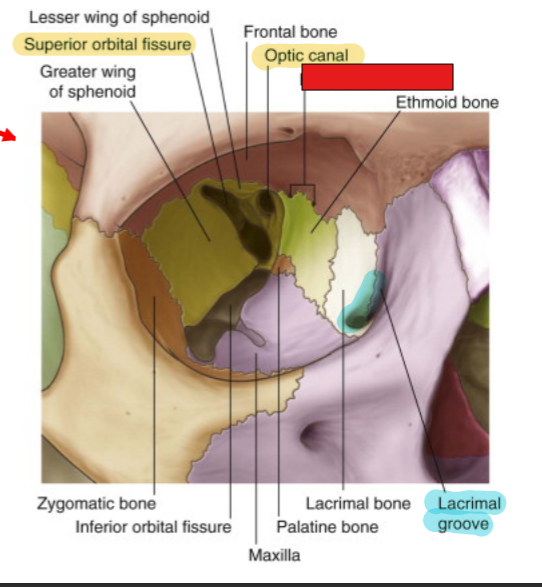 <p>fill in the red box:</p>