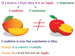 <p>An example that disproves a statement, proposition, or theorem by satisfying the conditions but contradicting the conclusion</p>