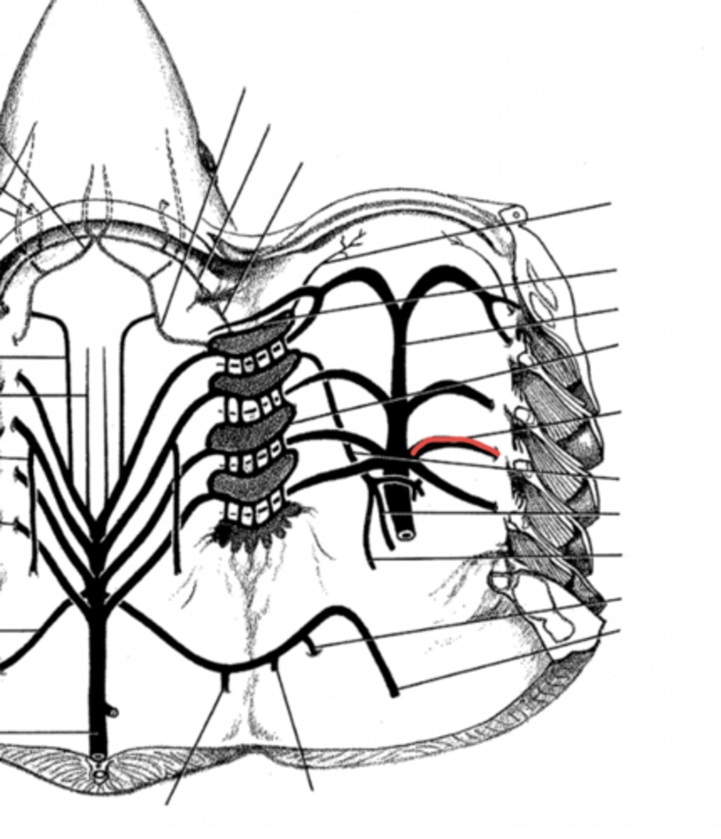 <p>what is this?</p>