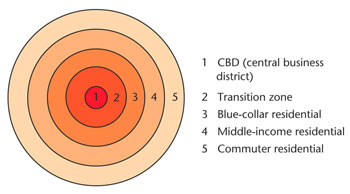 <p>The concentric zone model, developed by Burgess, describes expansion in concentric rings around the central business district</p><p></p><p>It does not address local urban politics and forces of globalization.</p>