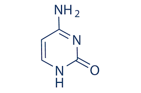 <p>cytosine </p>