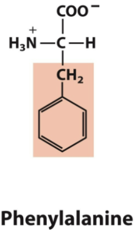 <ul><li><p>Phe, F</p></li><li><p>Aromatic </p></li></ul><p></p>