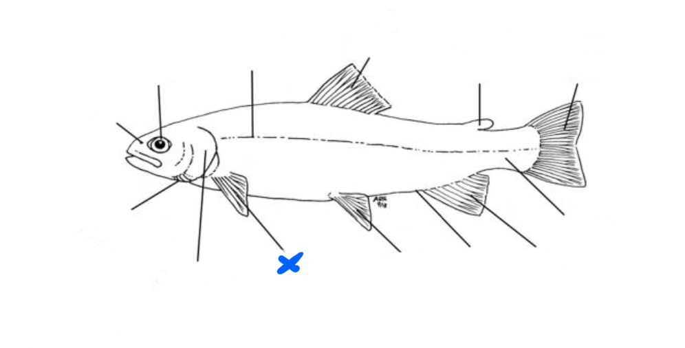 <p>What is this?</p>