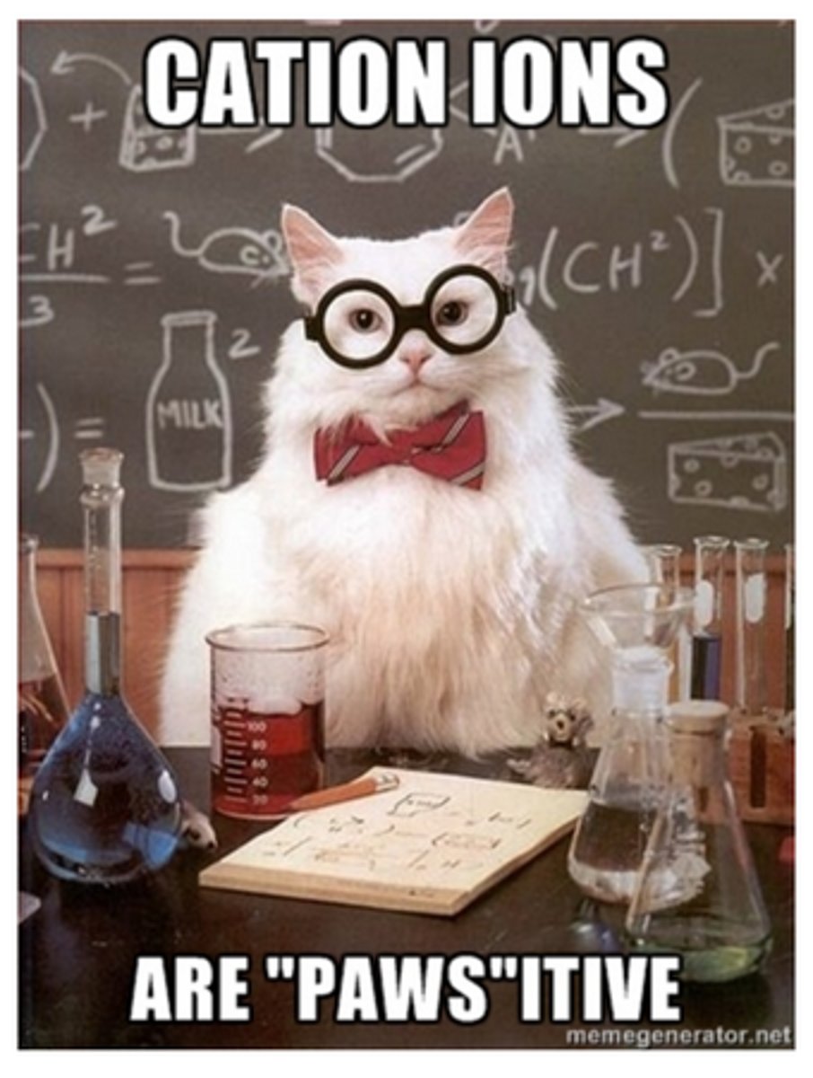 <p>A positively charged ion</p>