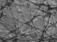 <p>what type of illumination is this</p>