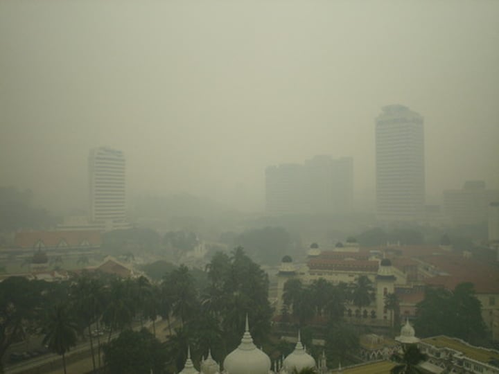<p>unclear, misty; not readily seen or understandable<br>-Finally, Rachel spotted the hazy outline of land.</p>