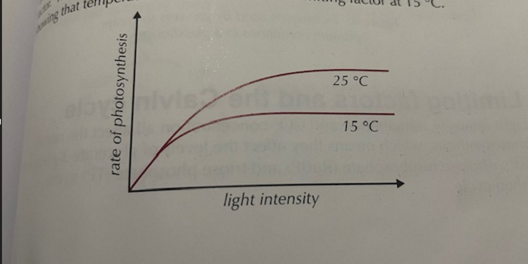 <p>what is the limiting factor of this graph</p>