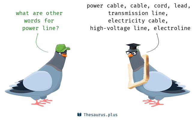 <p><span style="background-color: transparent;"><span>power line</span></span></p>