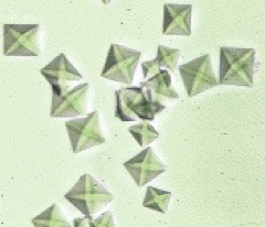 <p>What crystal is this?</p>