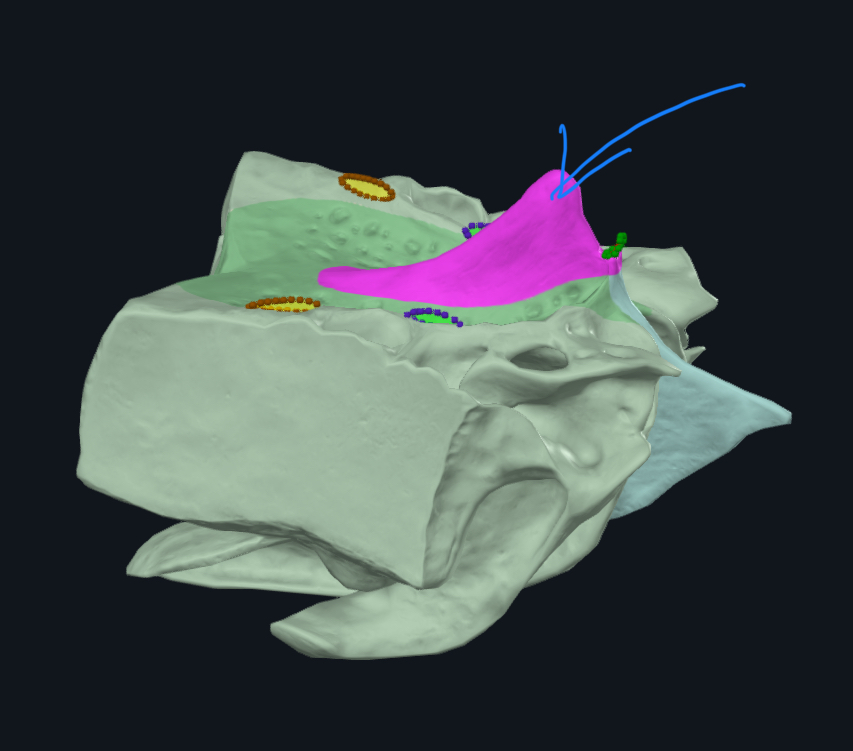<p>what is this?</p>