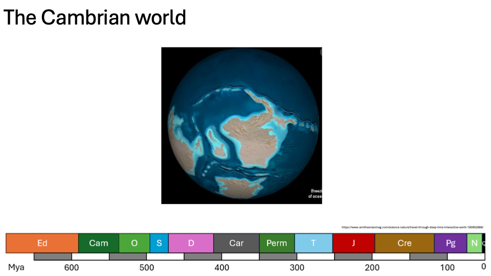 <p>Cambrian World</p>