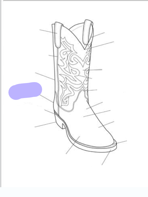 <p>What part of the boot is this? (labeled in purple)</p>