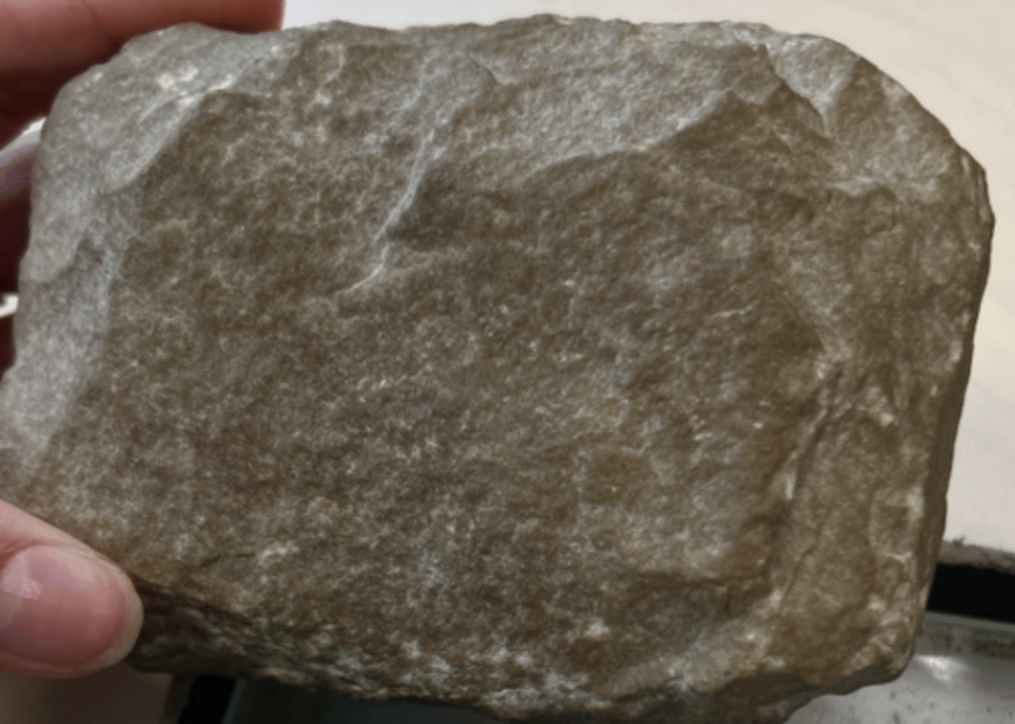 <p>sedimentary</p>