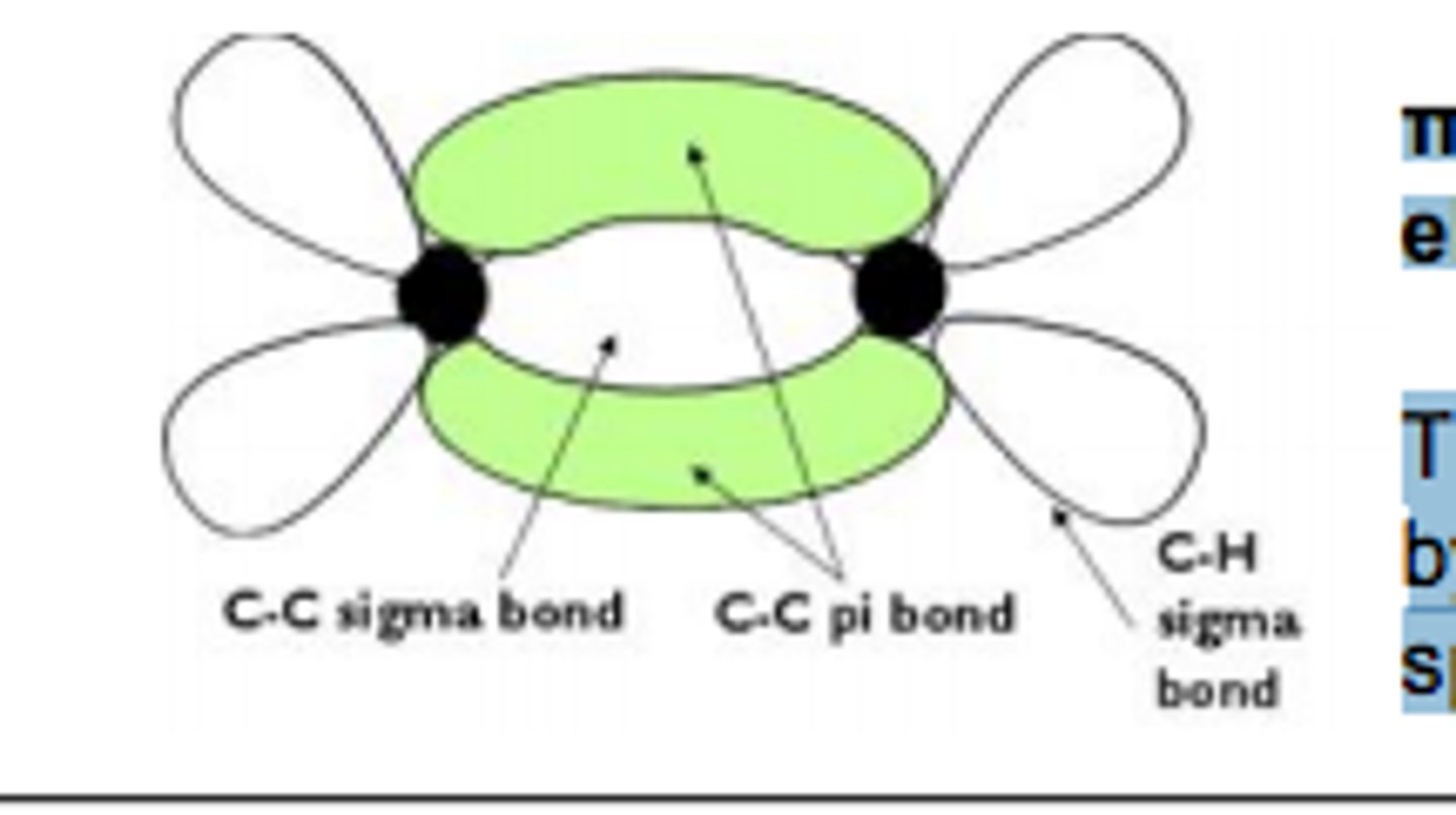 <p>a sigma (2 s-orbitals) bond and</p><p>a pi bond (2 p-orbitals)</p>