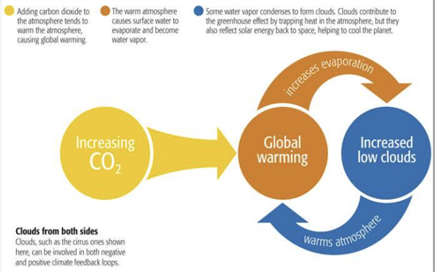 <p>Een toename aan inputs die resulteert in een afname van outputs.</p>