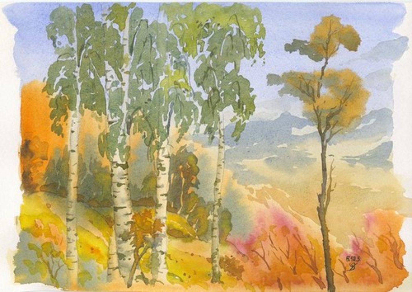 <p>Watercolour is quite transparent: you can see through it. It needs to be built up in layers.</p><p>The white of the paper usually shows through, so watercolour paintings tend to be very light and bright.</p><p>Watercolour paints must be used on paper, not on canvas as they are not bold enough to show up on canvas</p>