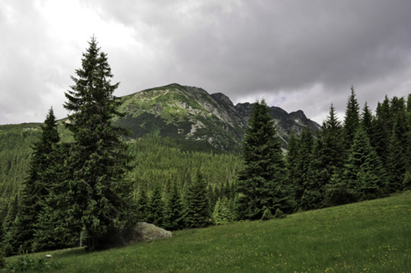 <p>The Northeast includes mountain peaks (like Mount Washington) and coastal harbors created by glaciers.</p>