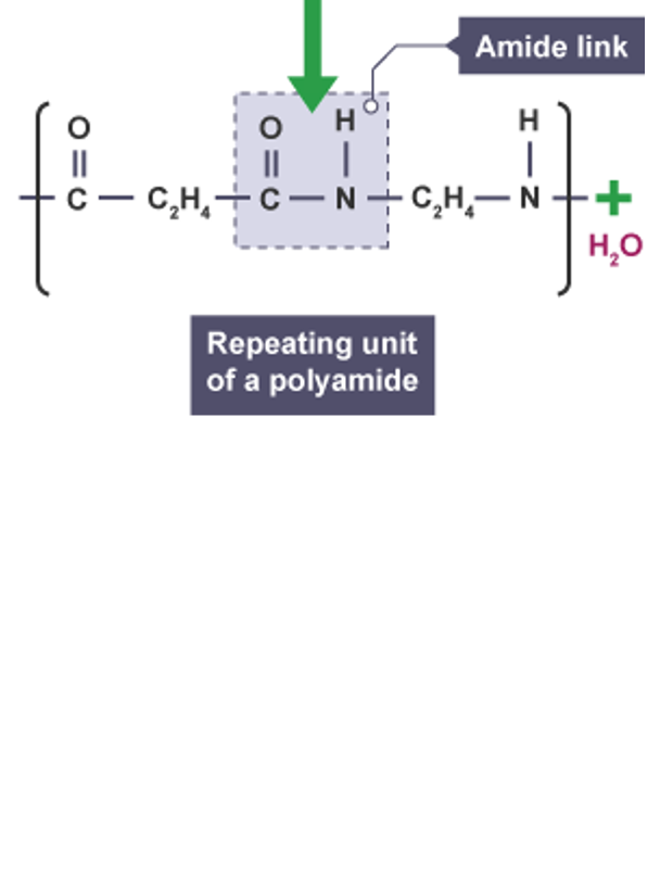<p>amide link between amine and a carboxylic acid&nbsp;</p>