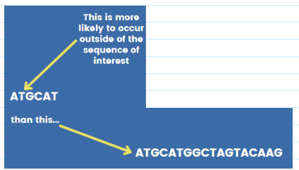 <ul><li><p><span>Probability that any particular oligo sequence will occur randomly in a template <strong><u>decrease </u></strong>with length</span></p></li><li><p><span>If primers are too long:</span></p><ul><li><p><span>Poor annealing</span></p></li><li><p><span>More likely to bind to each other</span></p></li><li><p><span>Secondary structure</span></p></li><li><p><span><u>Sweet spot: 18-30 nucleotides</u></span></p></li></ul></li></ul><p></p>