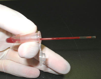 <p>what type of tube is blood put into?</p>