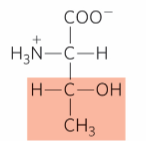 <p>What is this?</p>