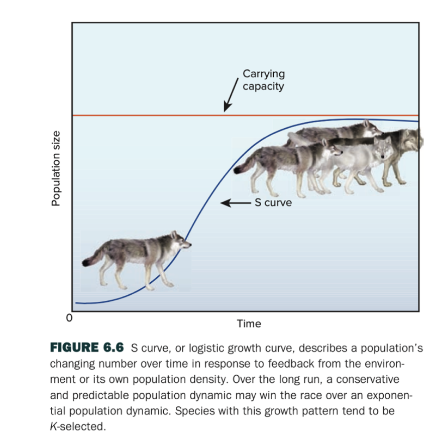 <p>Fig 6.6: What’s another species that exhibits this growth pattern and why?</p>