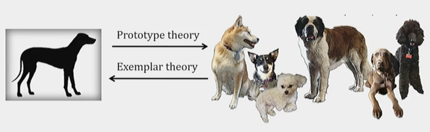 <p>In exemplar theory, we store a list of every item within the category and if we have to average them into a prototype we can. </p><p></p><p>Whereas, prototype theory says that we store a prototype of an item and if we need to pull up a list of specific exemplars, you can do it too. </p>