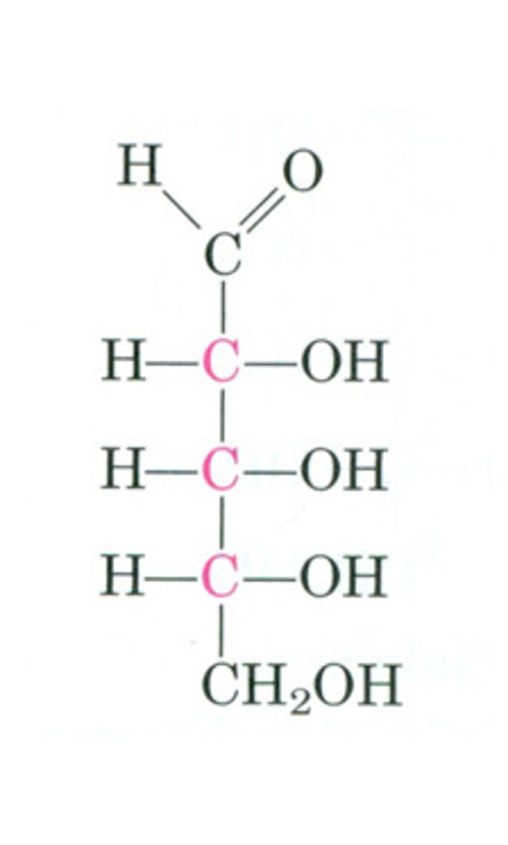 <p>aldopentose</p>