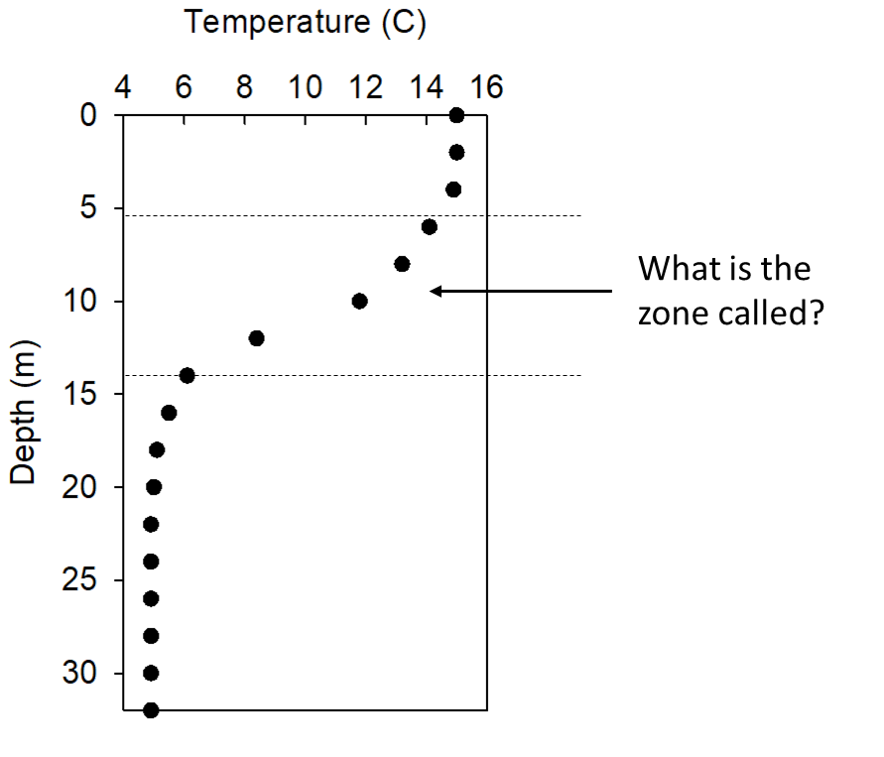 <p><span>Metalimnion</span></p>